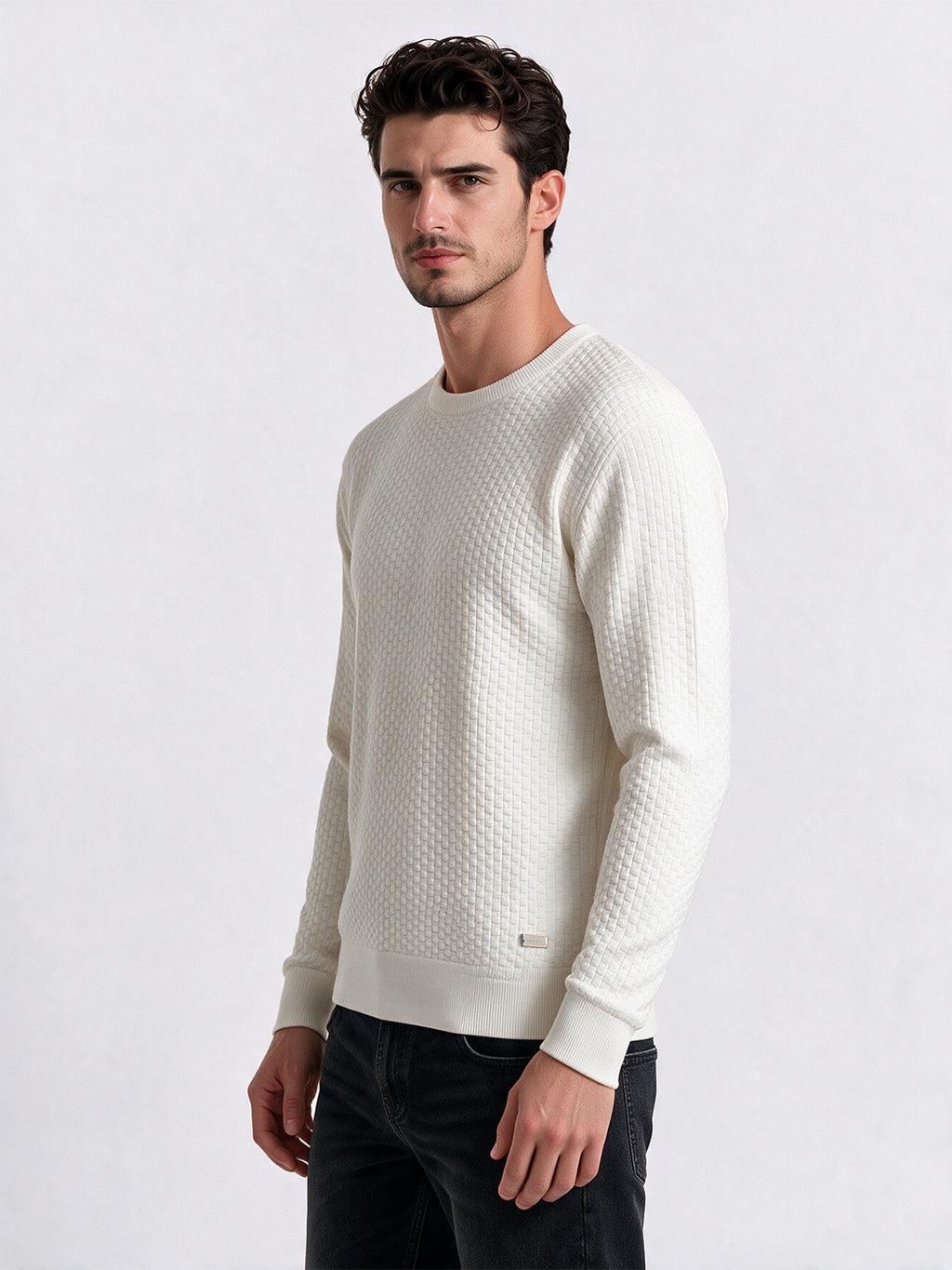 Men's 100% Cotton Self Design Round Neck Long Sleeve Sweater