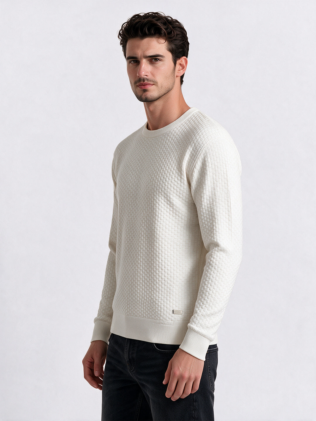 Men's 100% Cotton Self Design Round Neck Long Sleeve Sweater