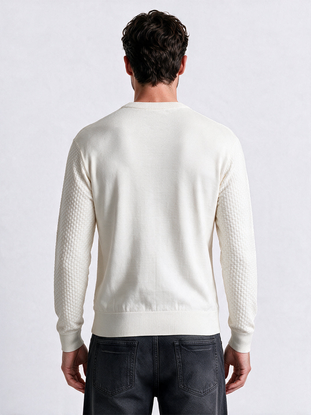 Men's 100% Cotton Self Design Round Neck Long Sleeve Sweater