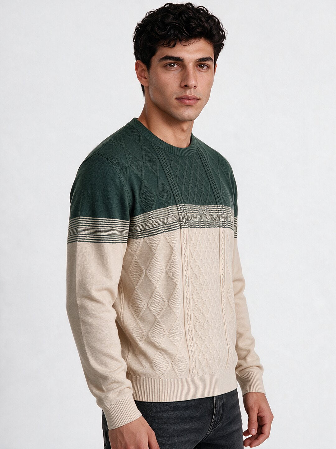 Men's Textured Striped Round Neck Regular Fit Sweater Secondary image