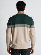Men's Textured Striped Round Neck Regular Fit Sweater