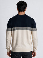 Men's Textured Striped Round Neck Regular Fit Sweater