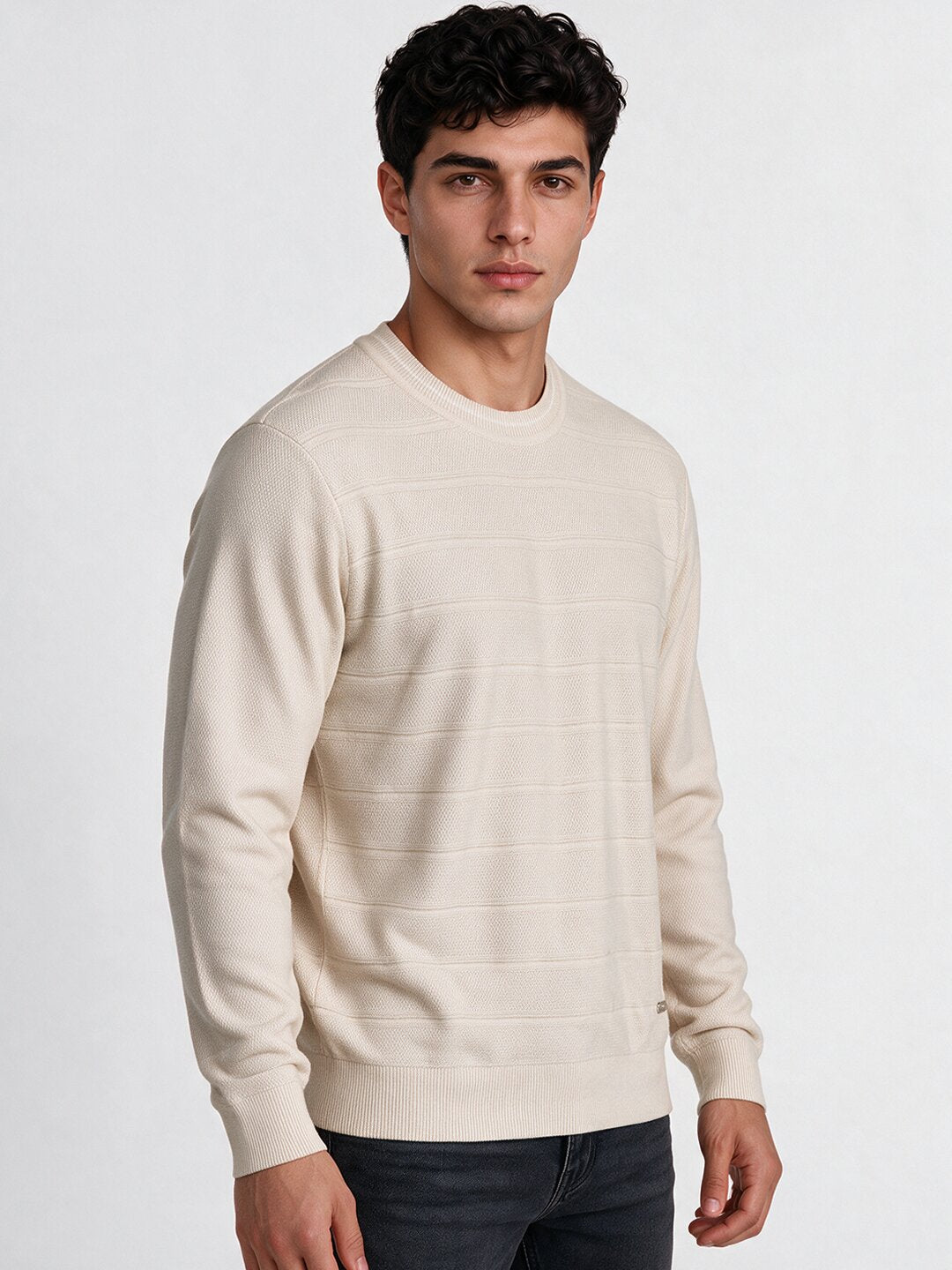 Men's Striped Round Neck Full Sleeve Cotton Sweater Secondary image