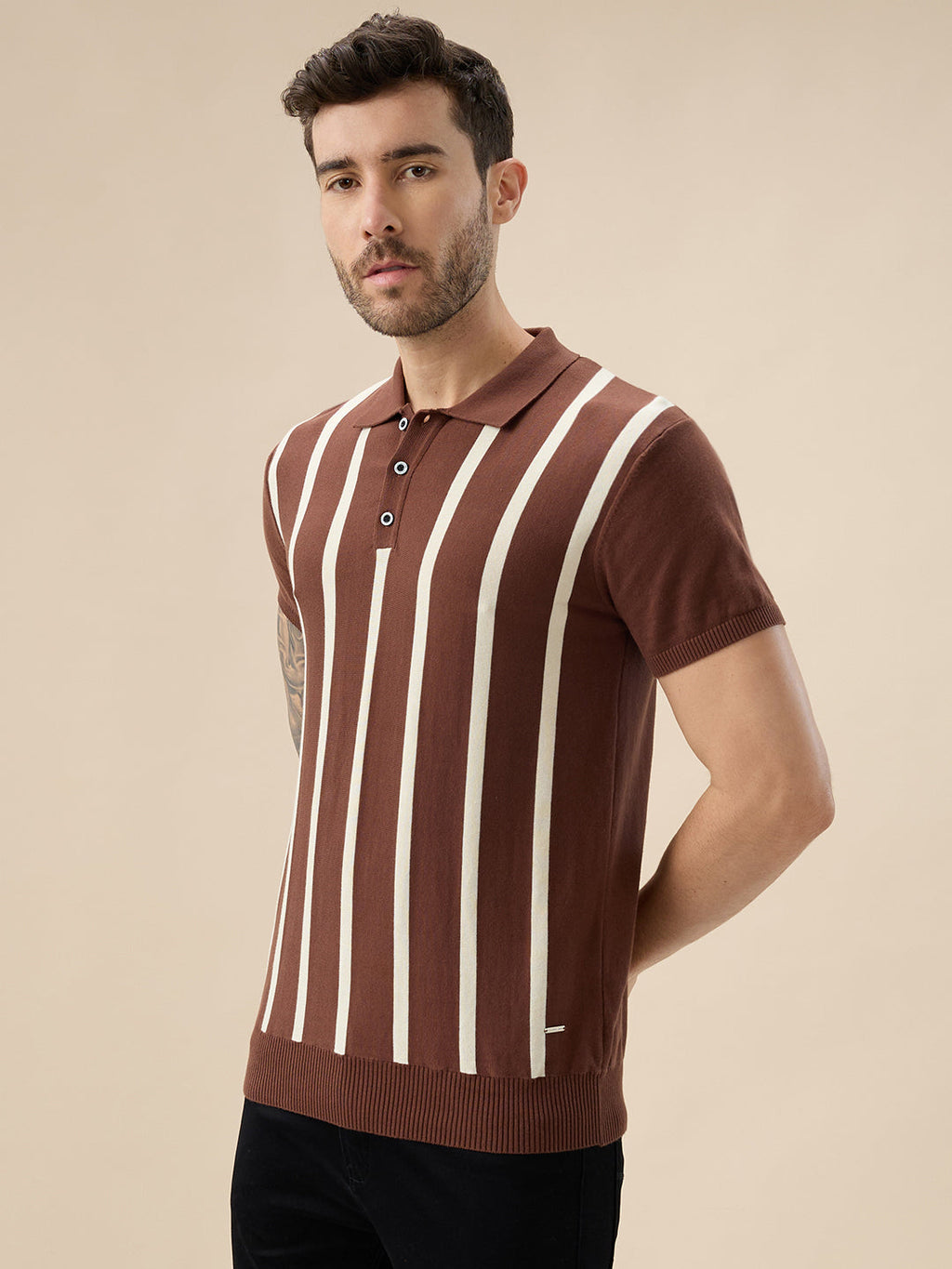 Men's Striped Polo Collar Half Sleeve Regular Fit Knit Sweater