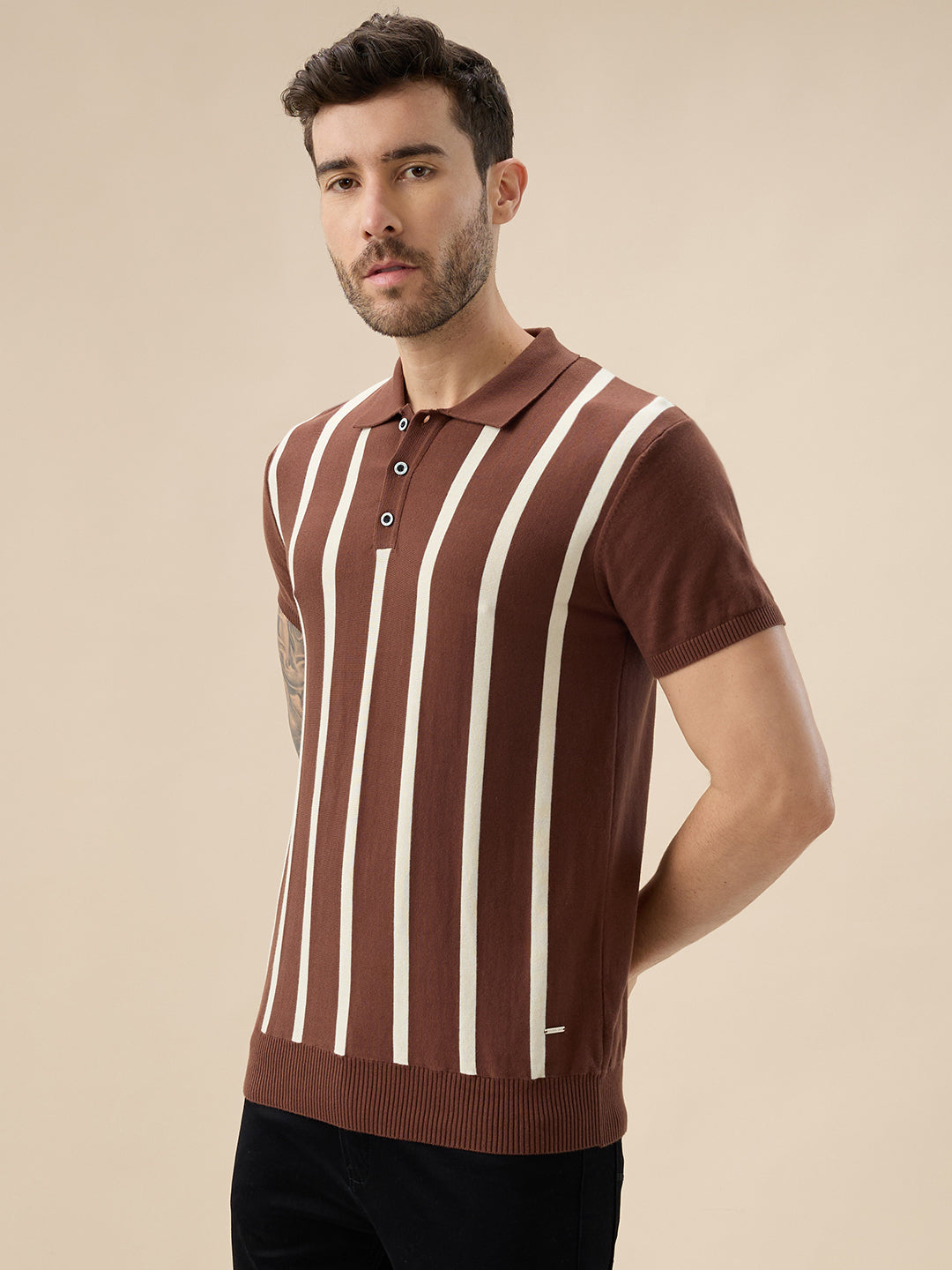 Men's Striped Polo Collar Half Sleeve Regular Fit Knit Sweater