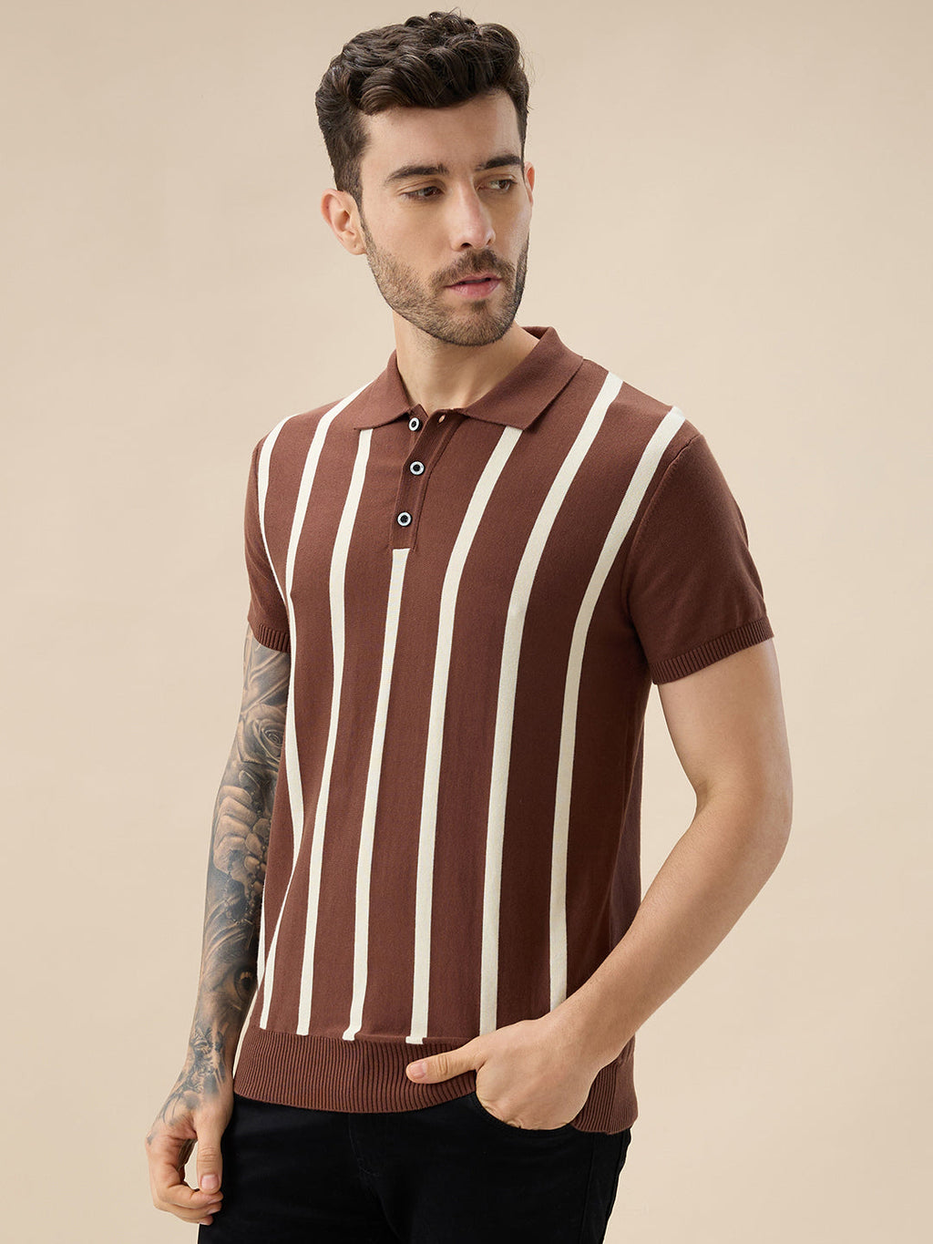 Men's Striped Polo Collar Half Sleeve Regular Fit Knit Sweater