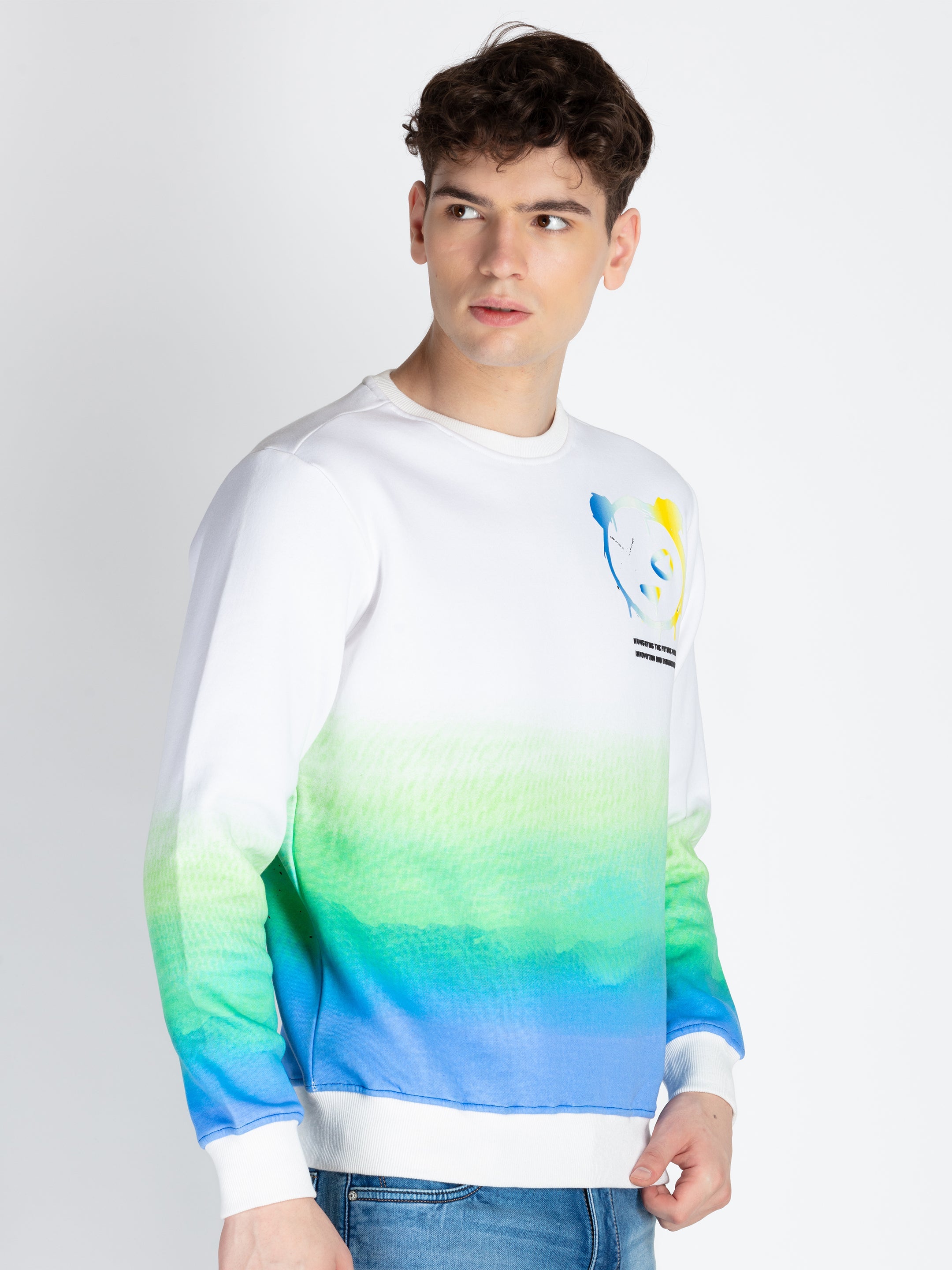 Mens All Over Printed Sweatshirt Secondary image