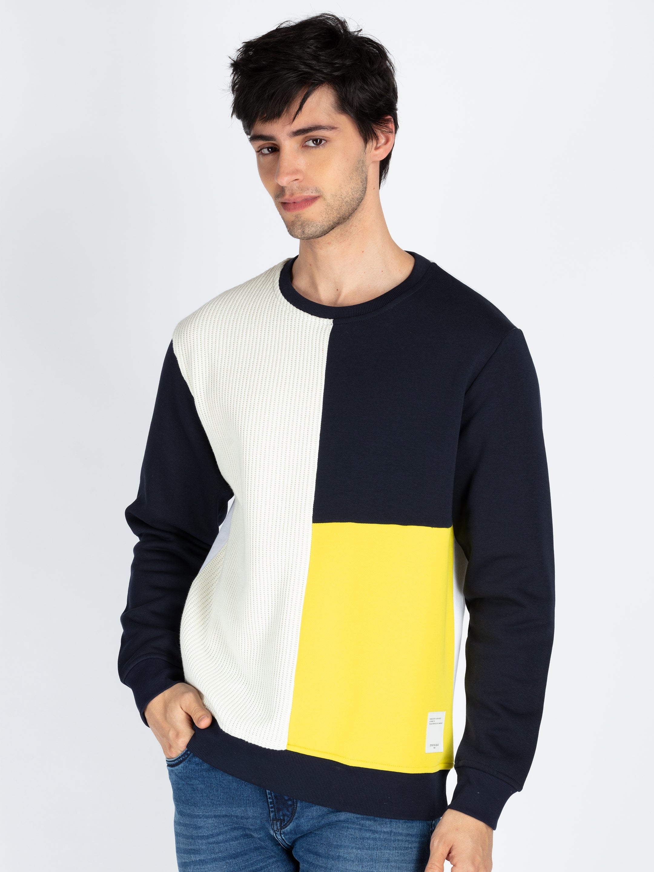 Mens Colorblocked Round Neck Full Sleeve Sweatshirt Secondary image