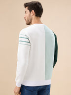 Mens Colorblock Typography Print Full Sleeve Round Neck Fleece Sweatshirt