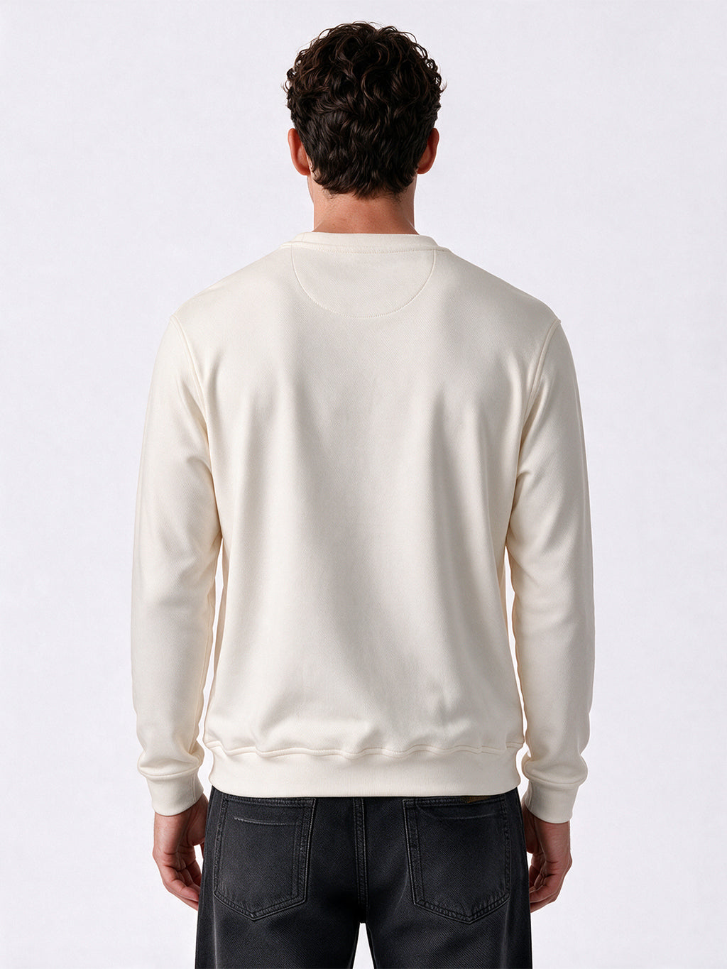 Men's Solid Regular Fit Round Neck Long Sleeve Sweatshirt