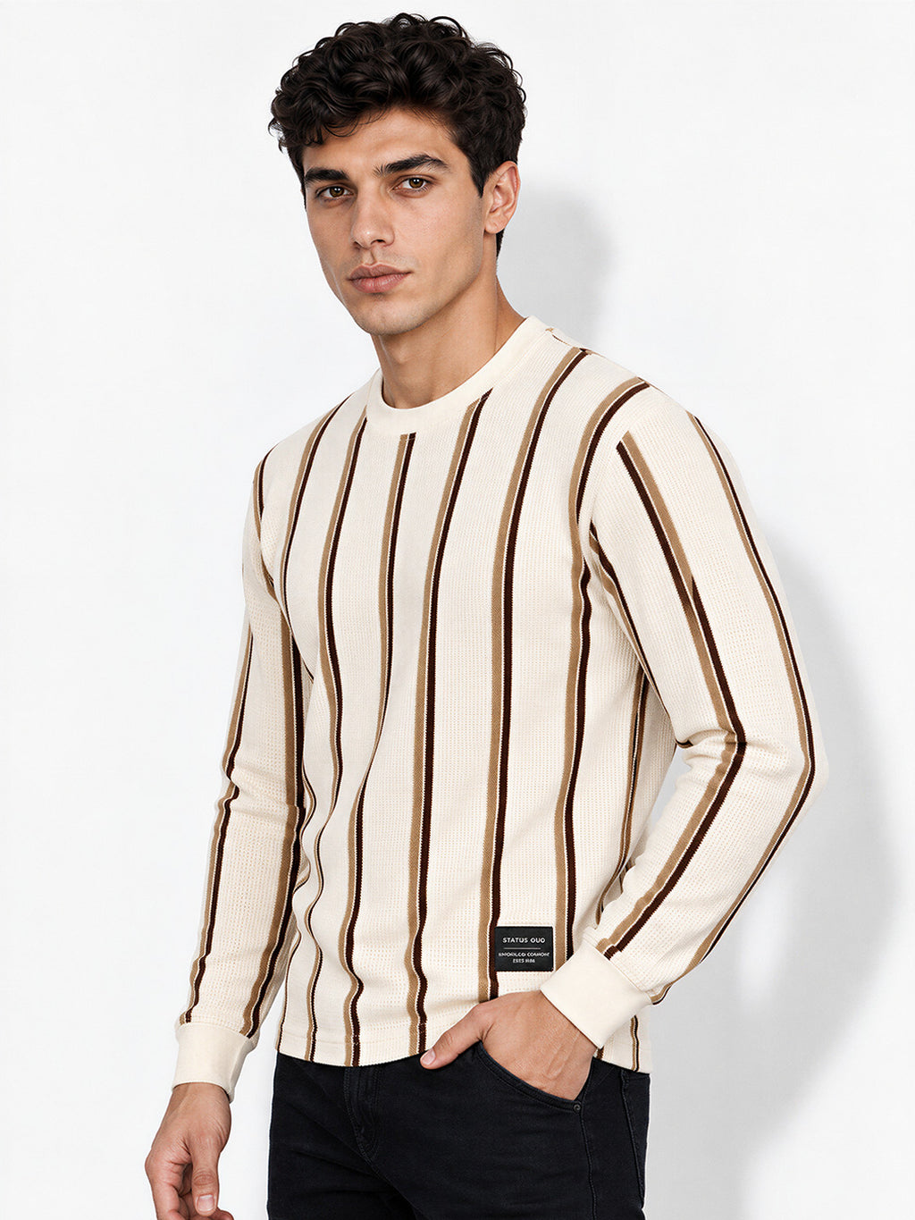 Striped Round Neck Regular Fit Tshirt