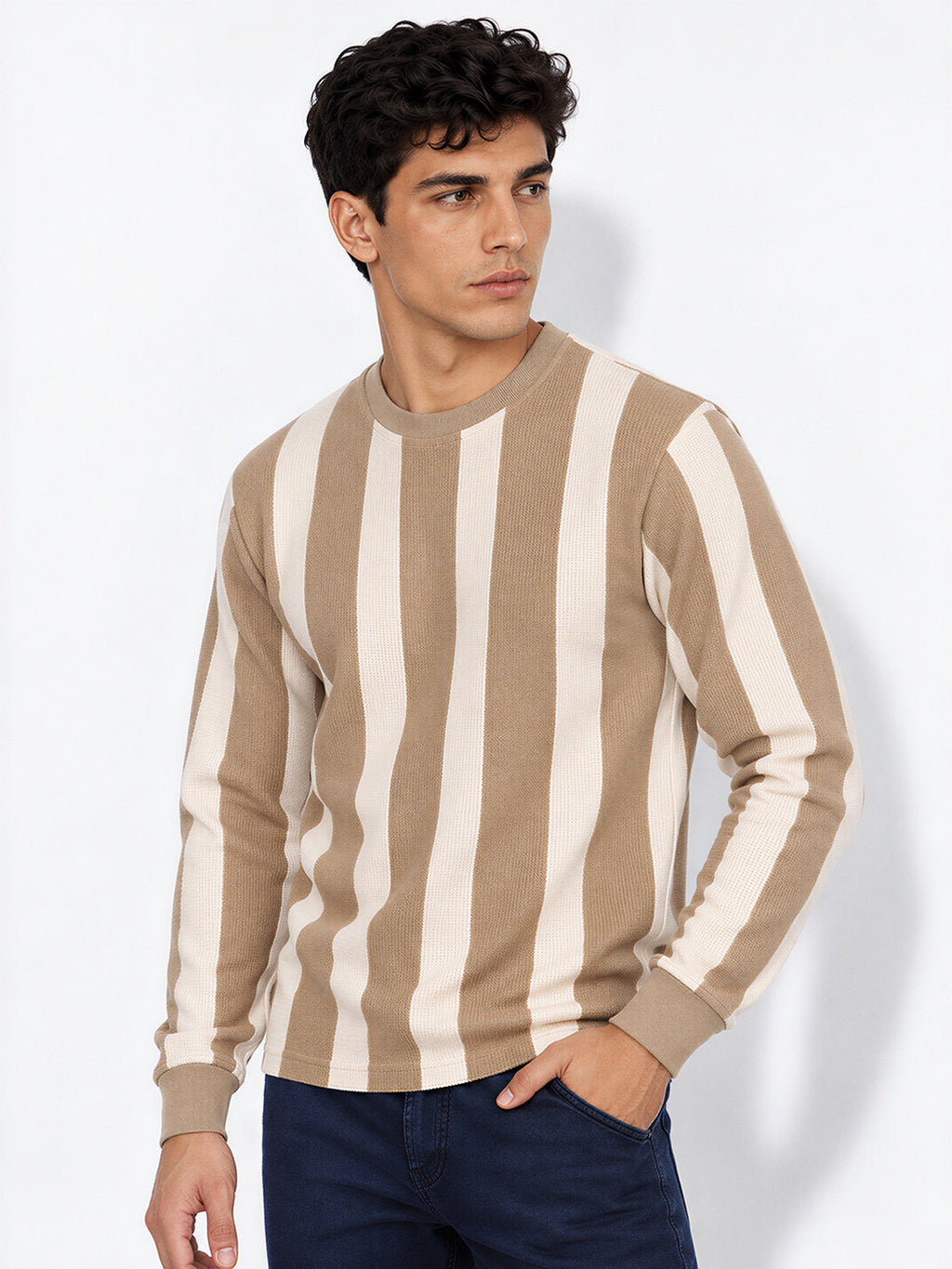 Striped Round Neck Regular Fit Tshirt