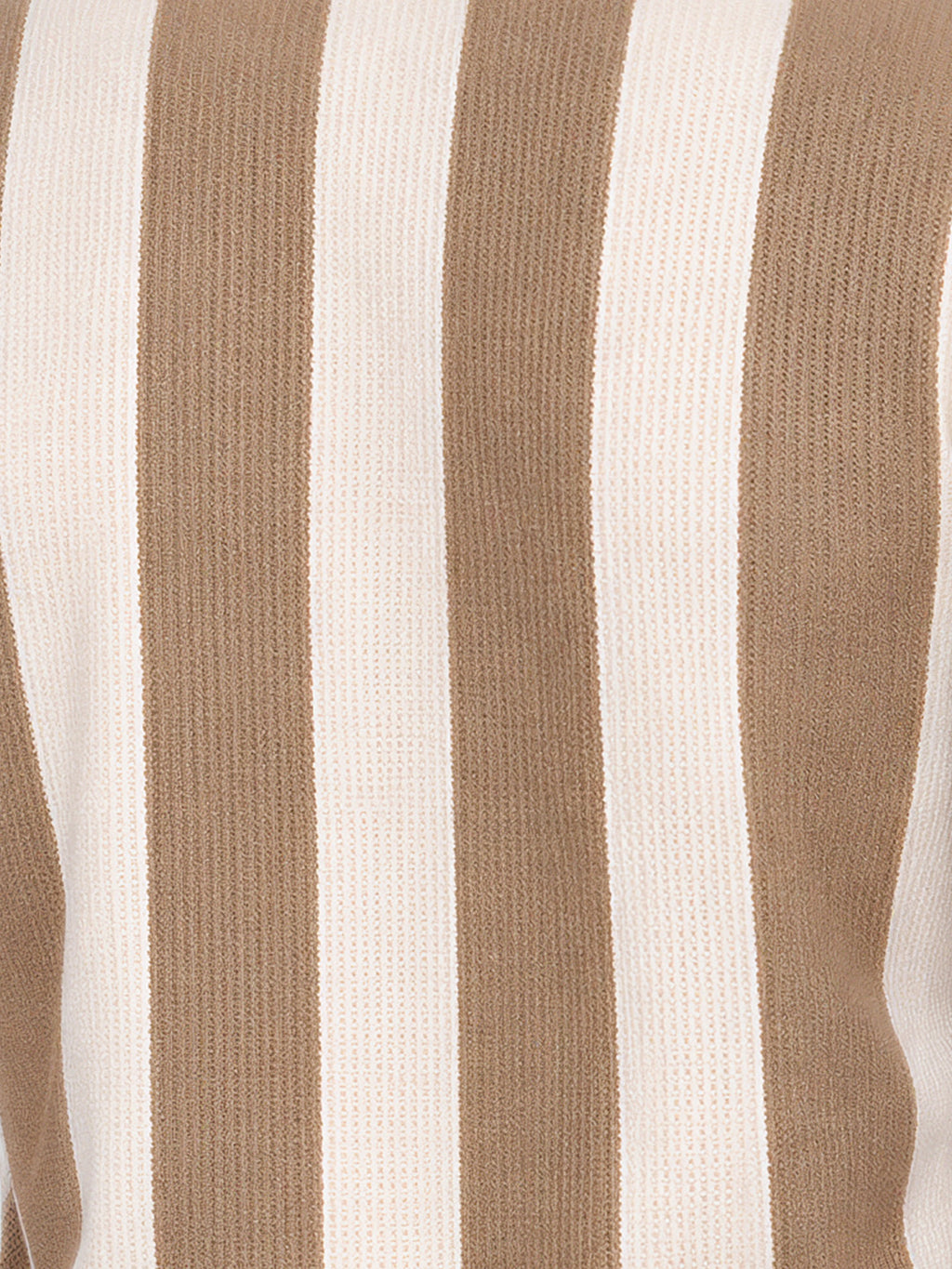 Striped Round Neck Regular Fit Tshirt