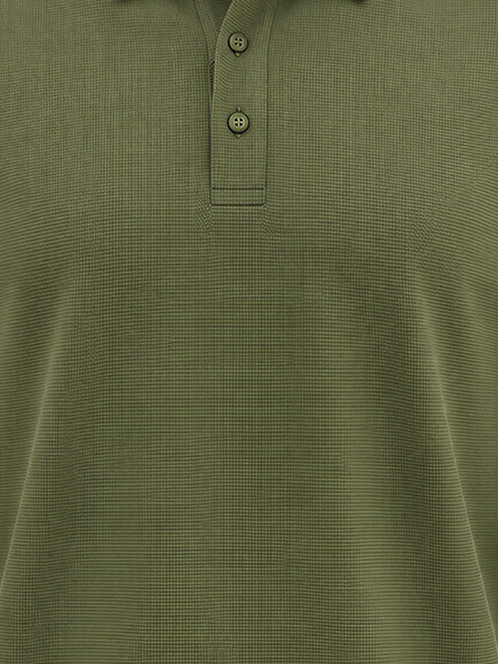 Solid Regular Fit Polo T-shirt