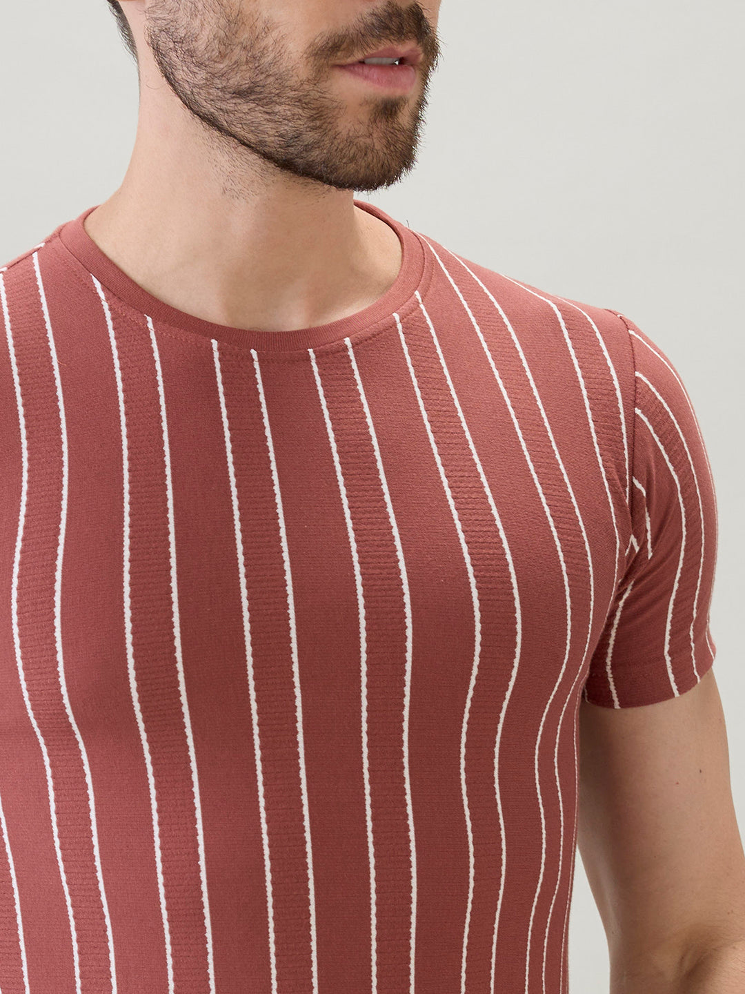 Men's Structured Striped Half Sleeves Regular Fit T-Shirt