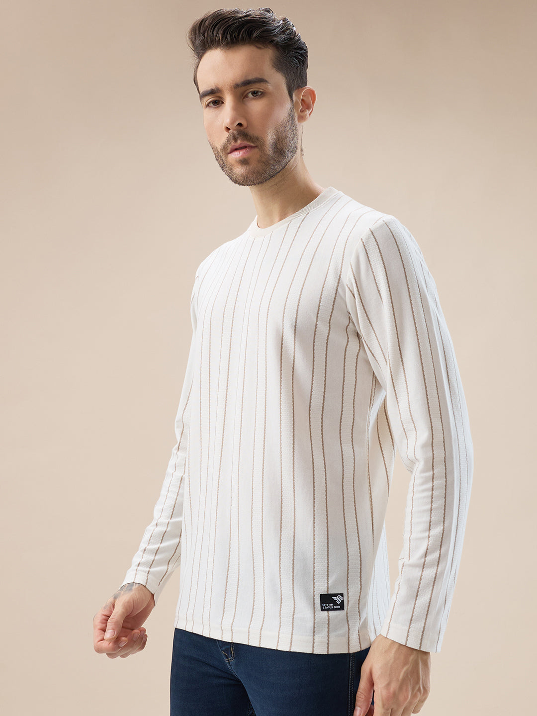 Men's Vertical Striped Full Sleeve Regular Fit T-Shirt