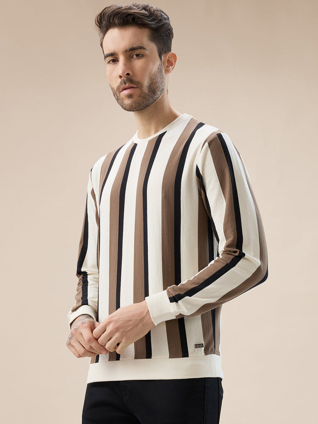 Men's Round Neck Full Sleeve Regular Fit Striped T-Shirt