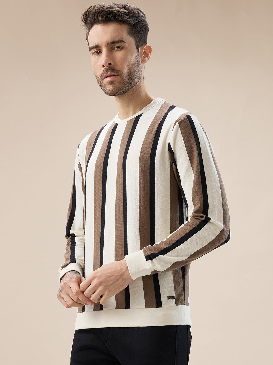 Men's Round Neck Full Sleeve Regular Fit Striped T-Shirt