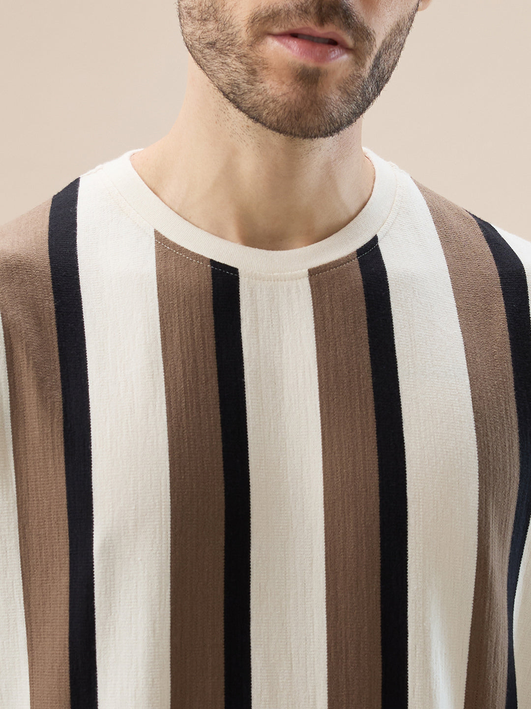 Men's Round Neck Full Sleeve Regular Fit Striped T-Shirt