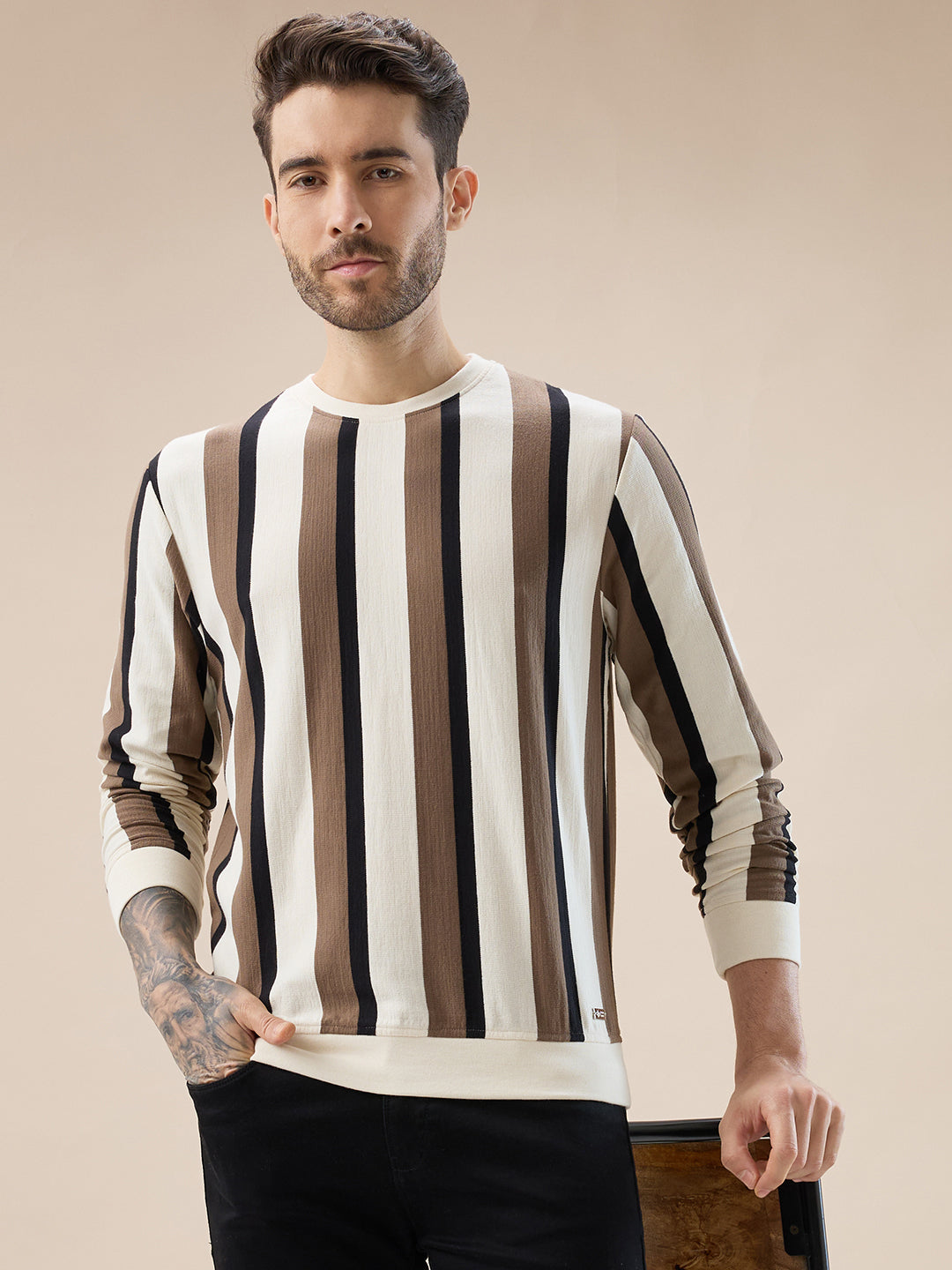 Men's Round Neck Full Sleeve Regular Fit Striped T-Shirt