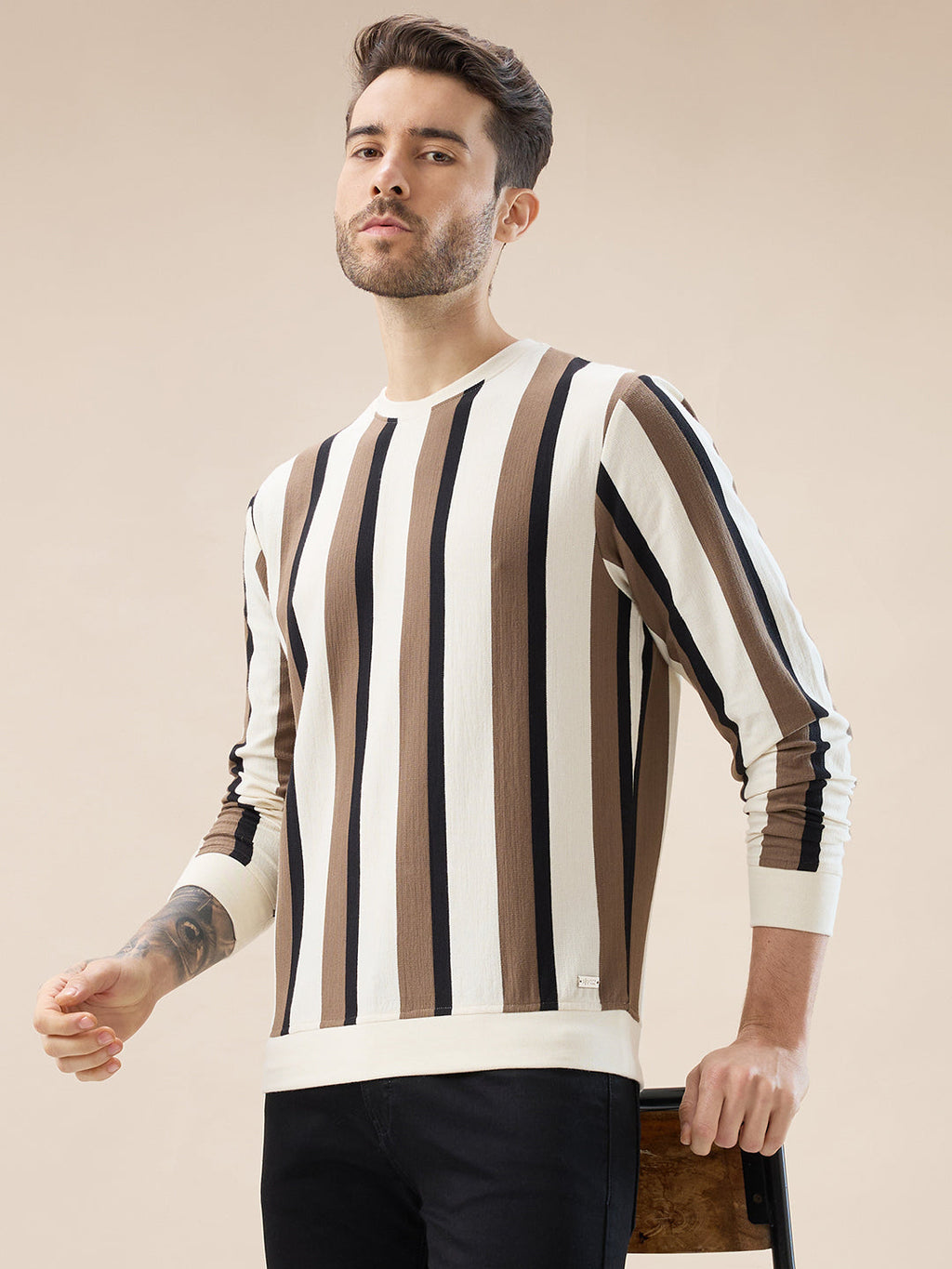 Men's Round Neck Full Sleeve Regular Fit Striped T-Shirt