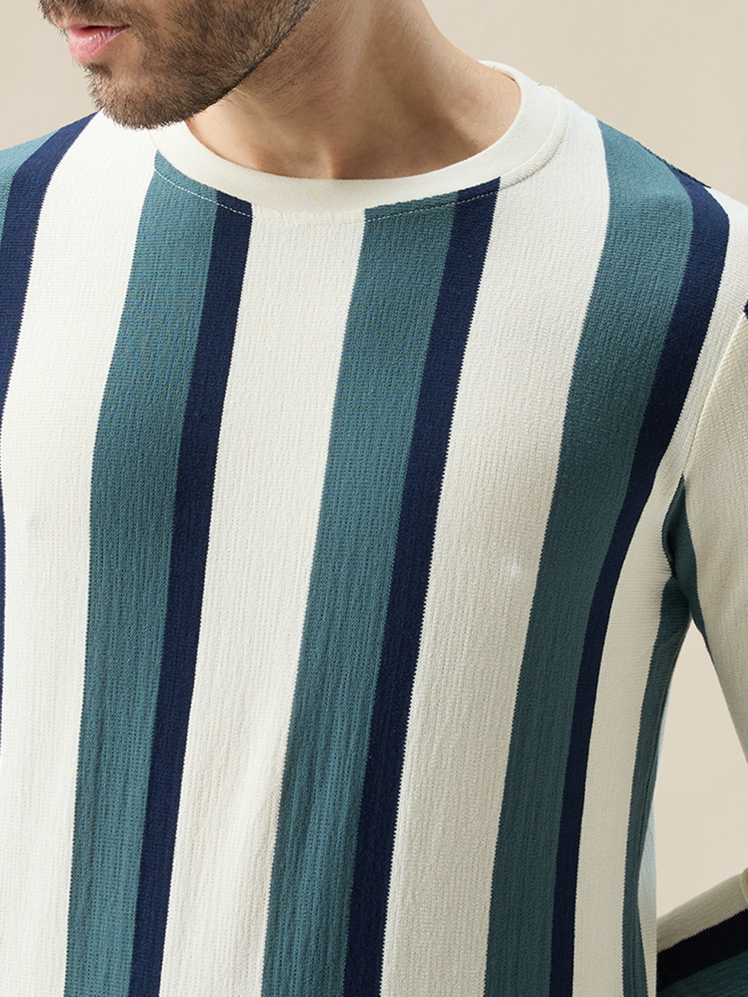 Men's Round Neck Full Sleeve Regular Fit Striped T-Shirt