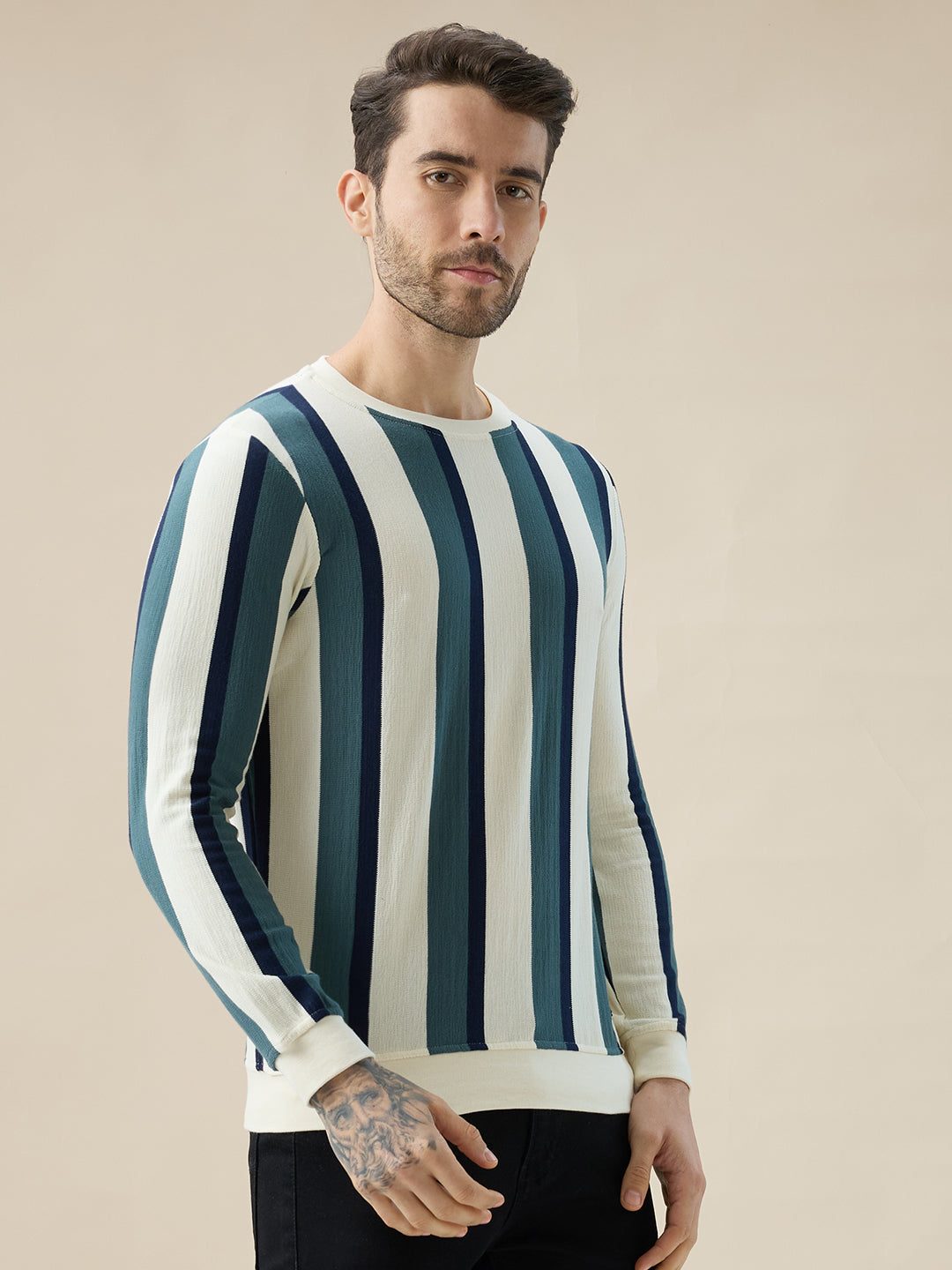 Men's Round Neck Full Sleeve Regular Fit Striped T-Shirt Secondary image