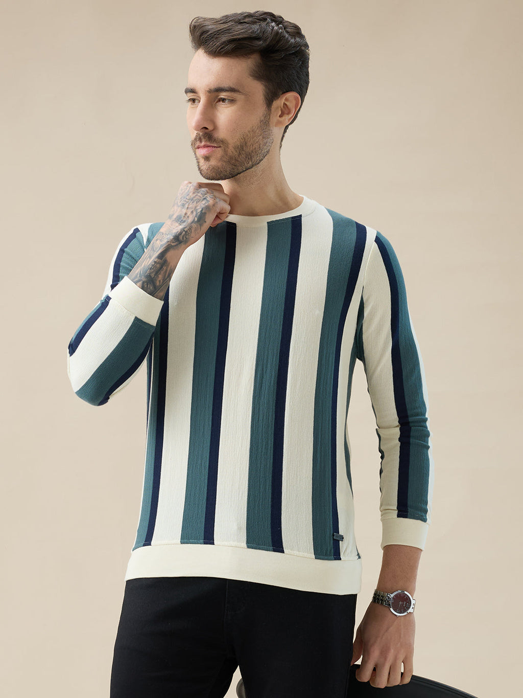 Men's Round Neck Full Sleeve Regular Fit Striped T-Shirt