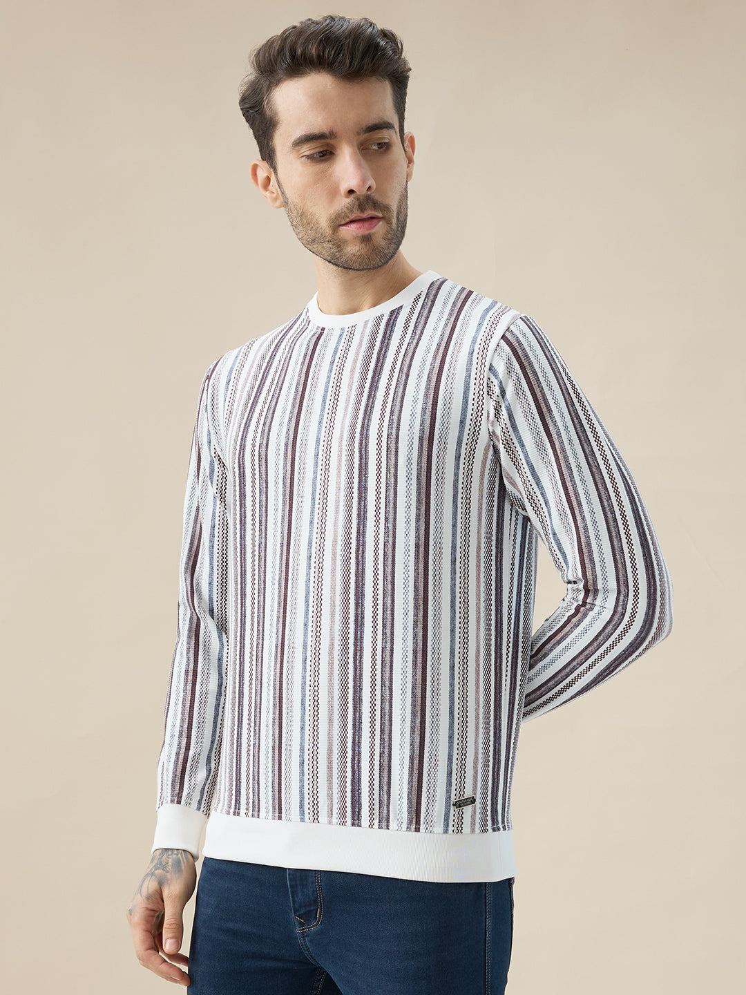 Mens Striped Regular Fit Full Sleeve Round Neck T-Shirt