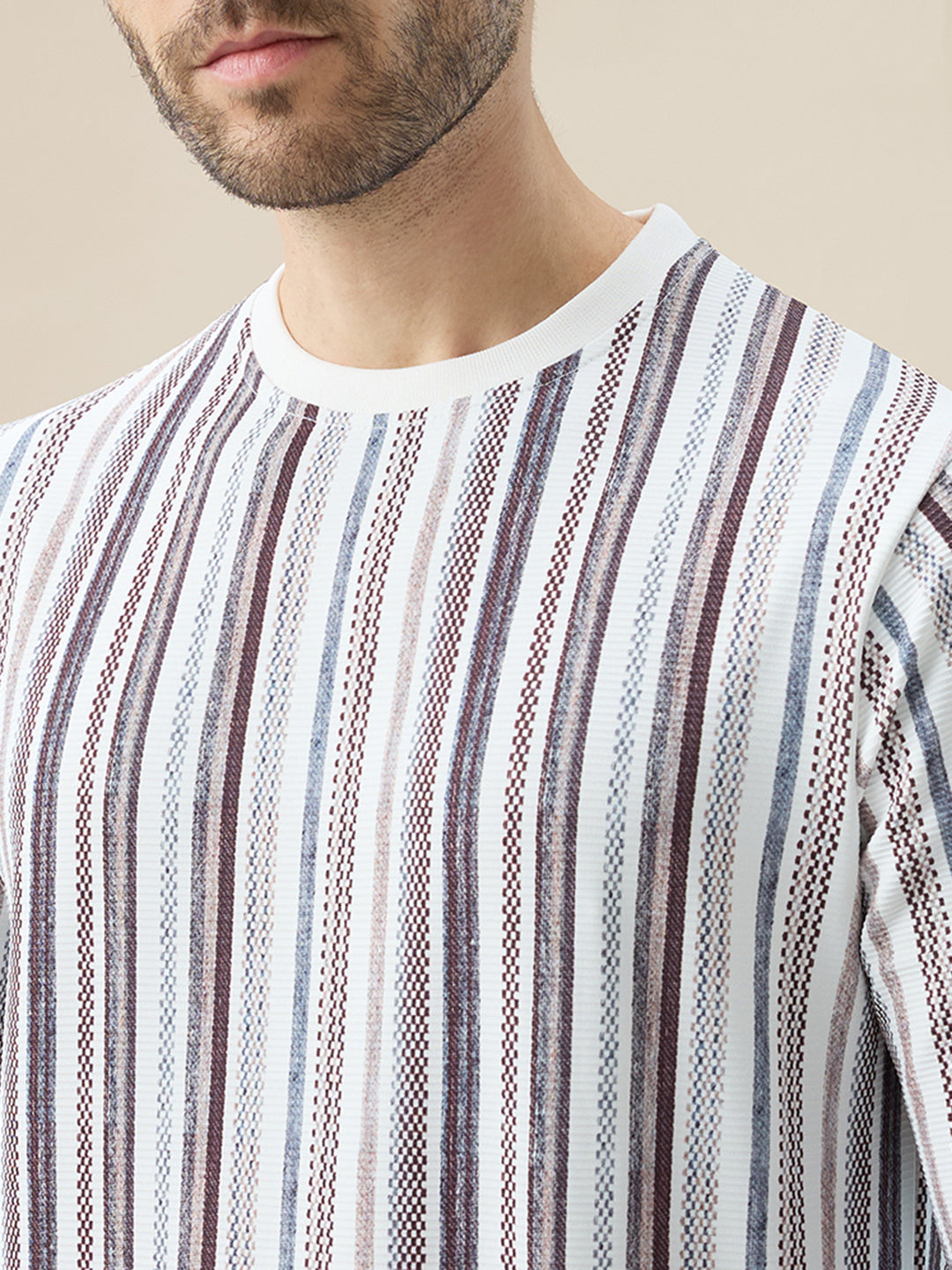Mens Striped Regular Fit Full Sleeve Round Neck T-Shirt