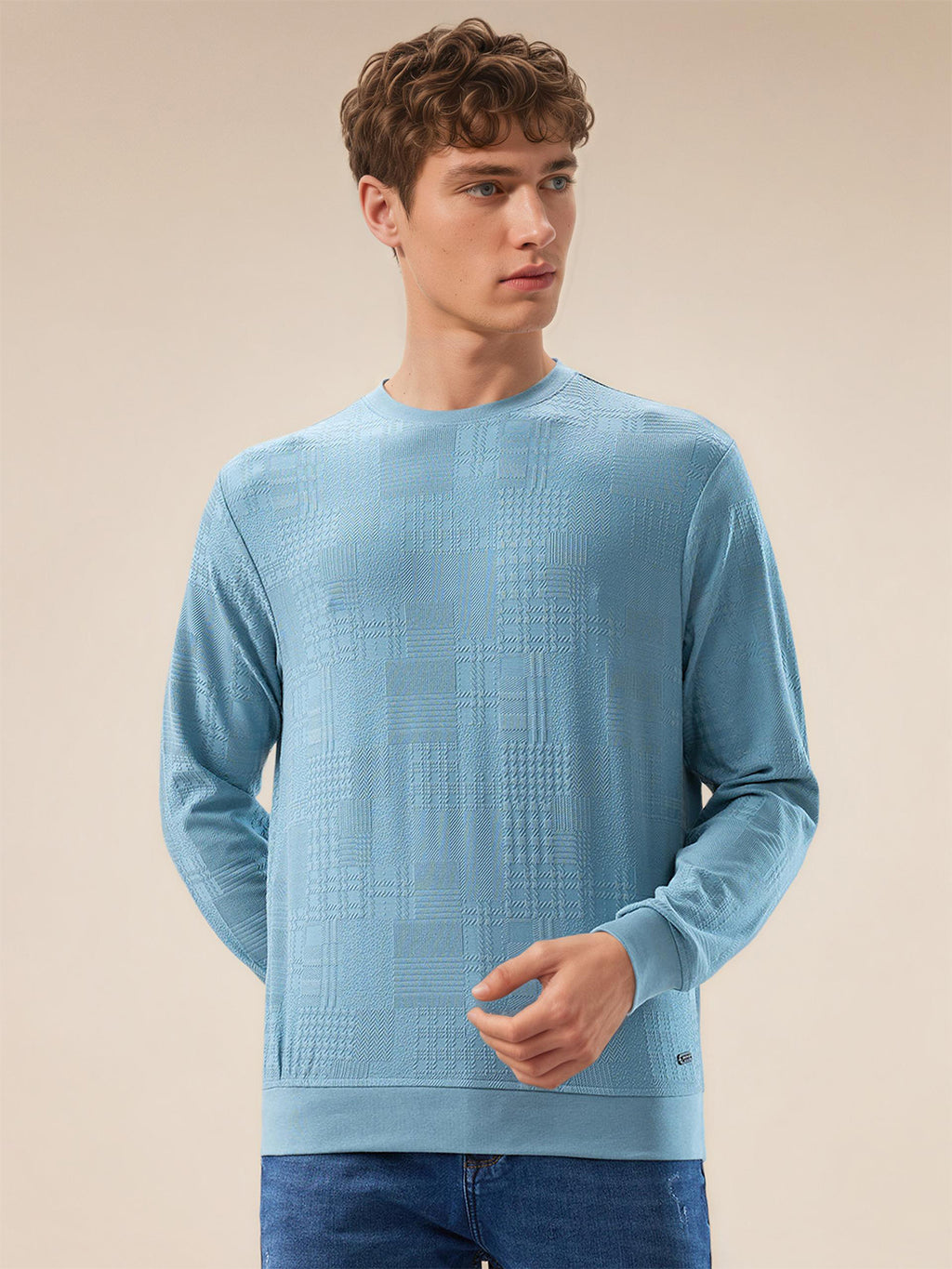 Mens Geometric Textured Round Neck Full Sleeve Regular Fit T-Shirt