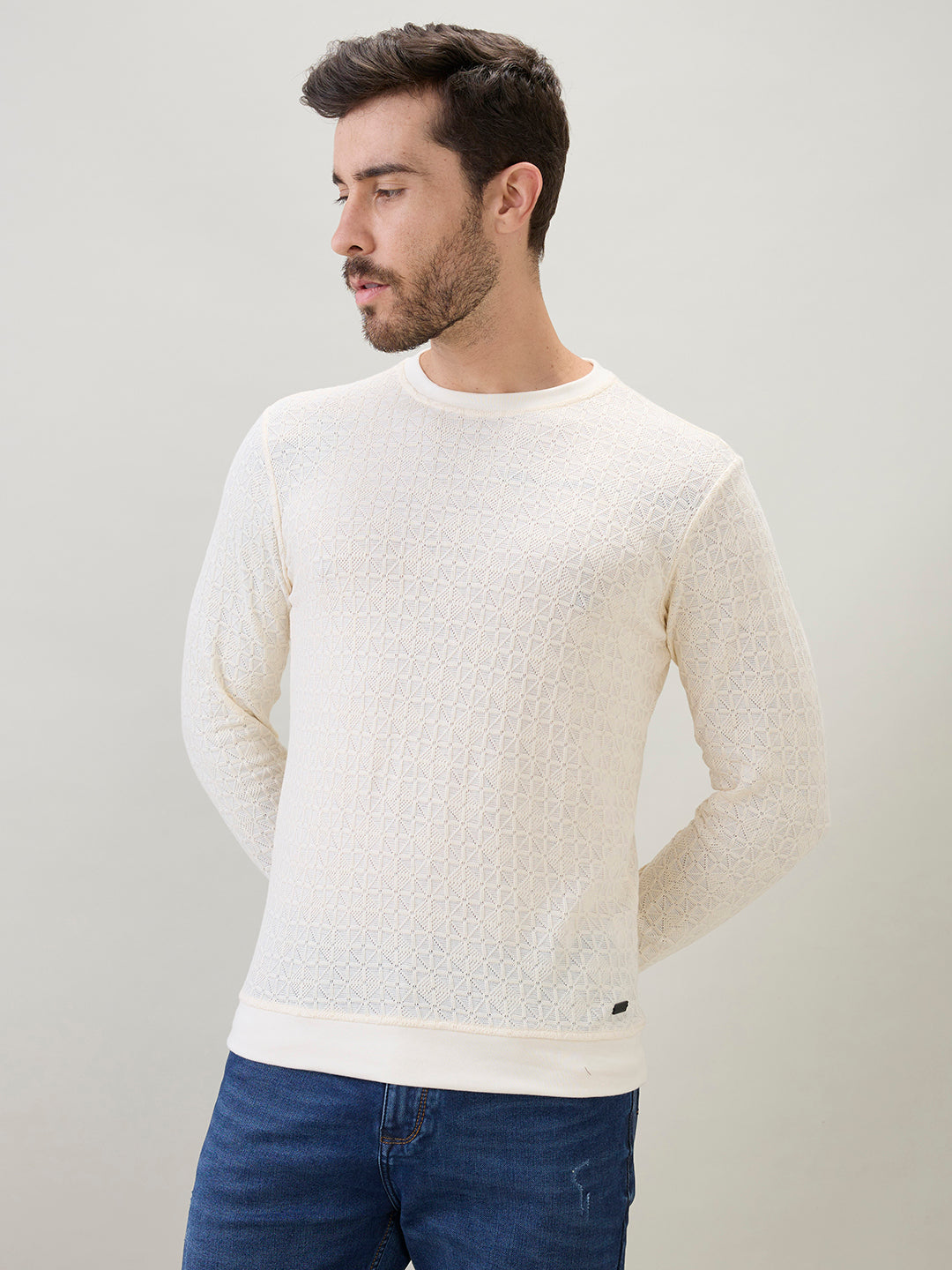 Mens Textured Round Neck Full Sleeves Regular Fit T-Shirt