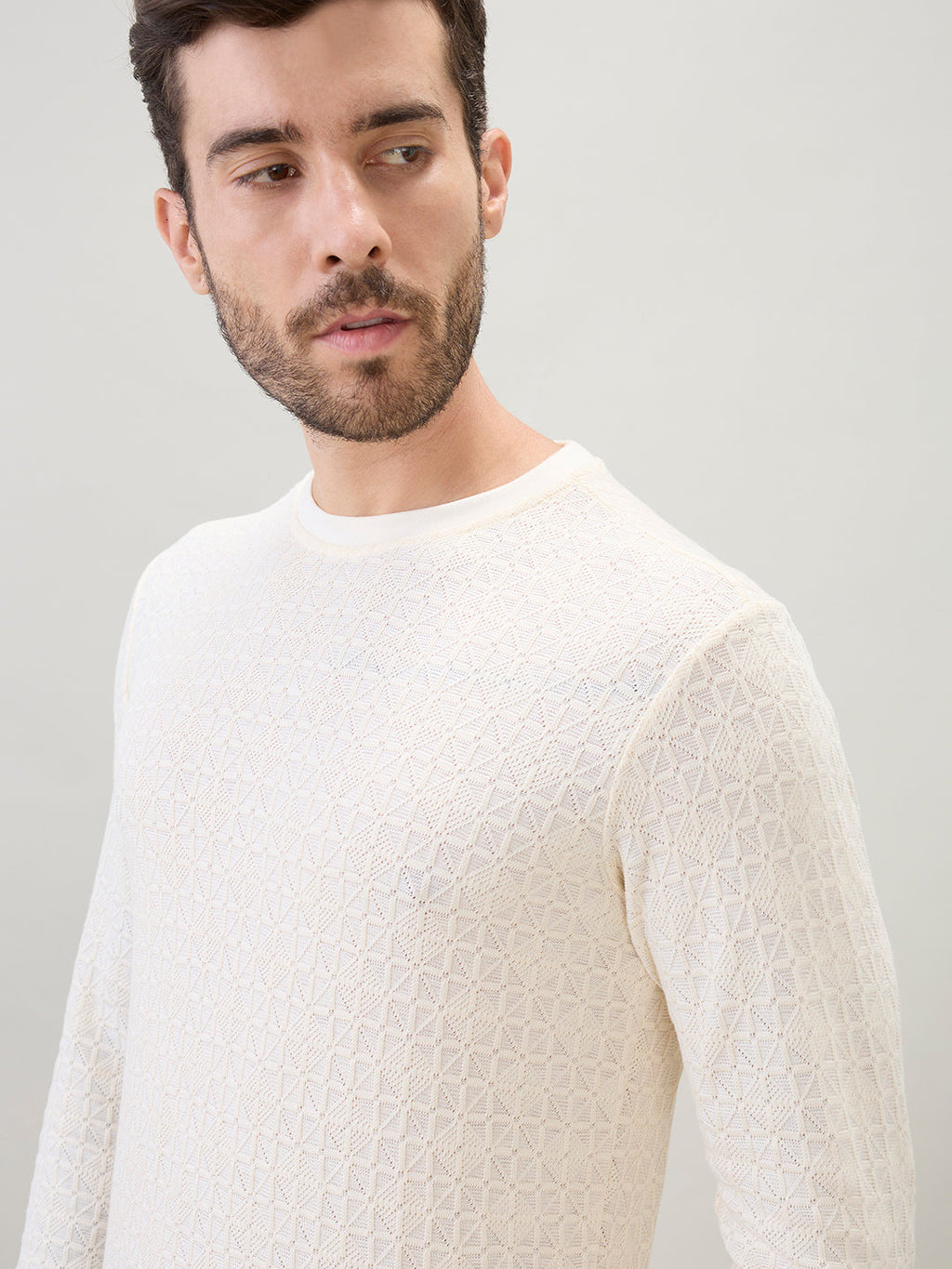 Mens Textured Round Neck Full Sleeves Regular Fit T-Shirt