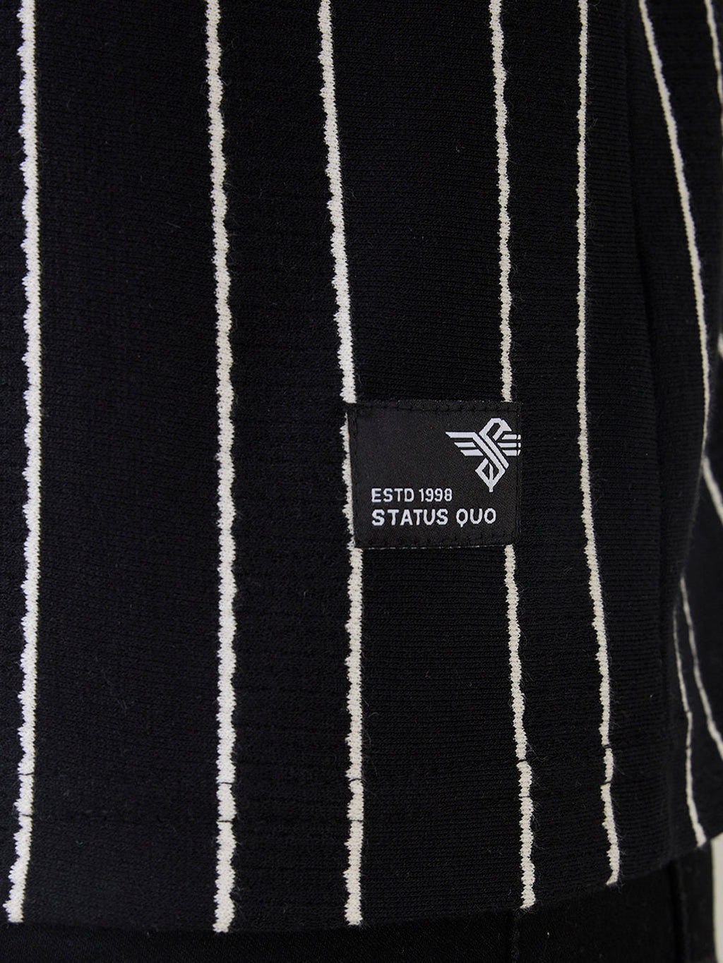 Men's Vertical Striped Full Sleeve Regular Fit T-Shirt