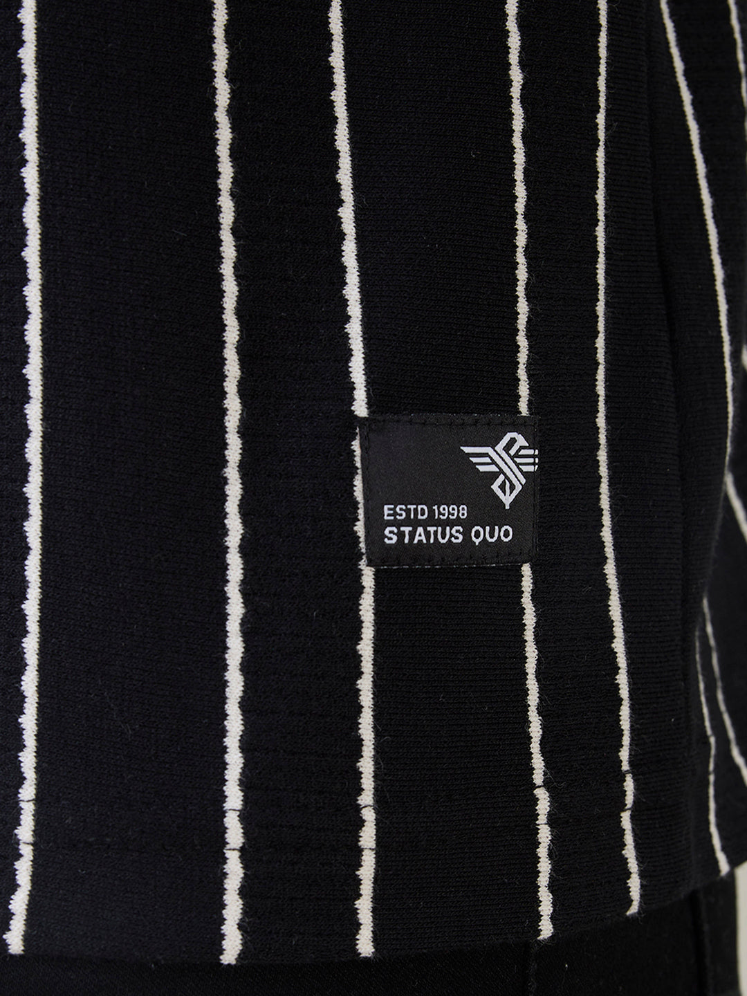 Men's Vertical Striped Full Sleeve Regular Fit T-Shirt