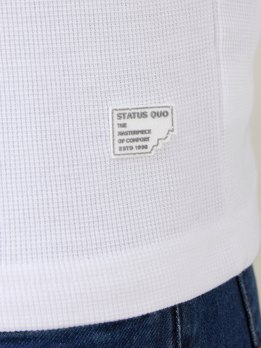 Men's Solid High Neck Full Sleeve Regular Fit T-Shirt