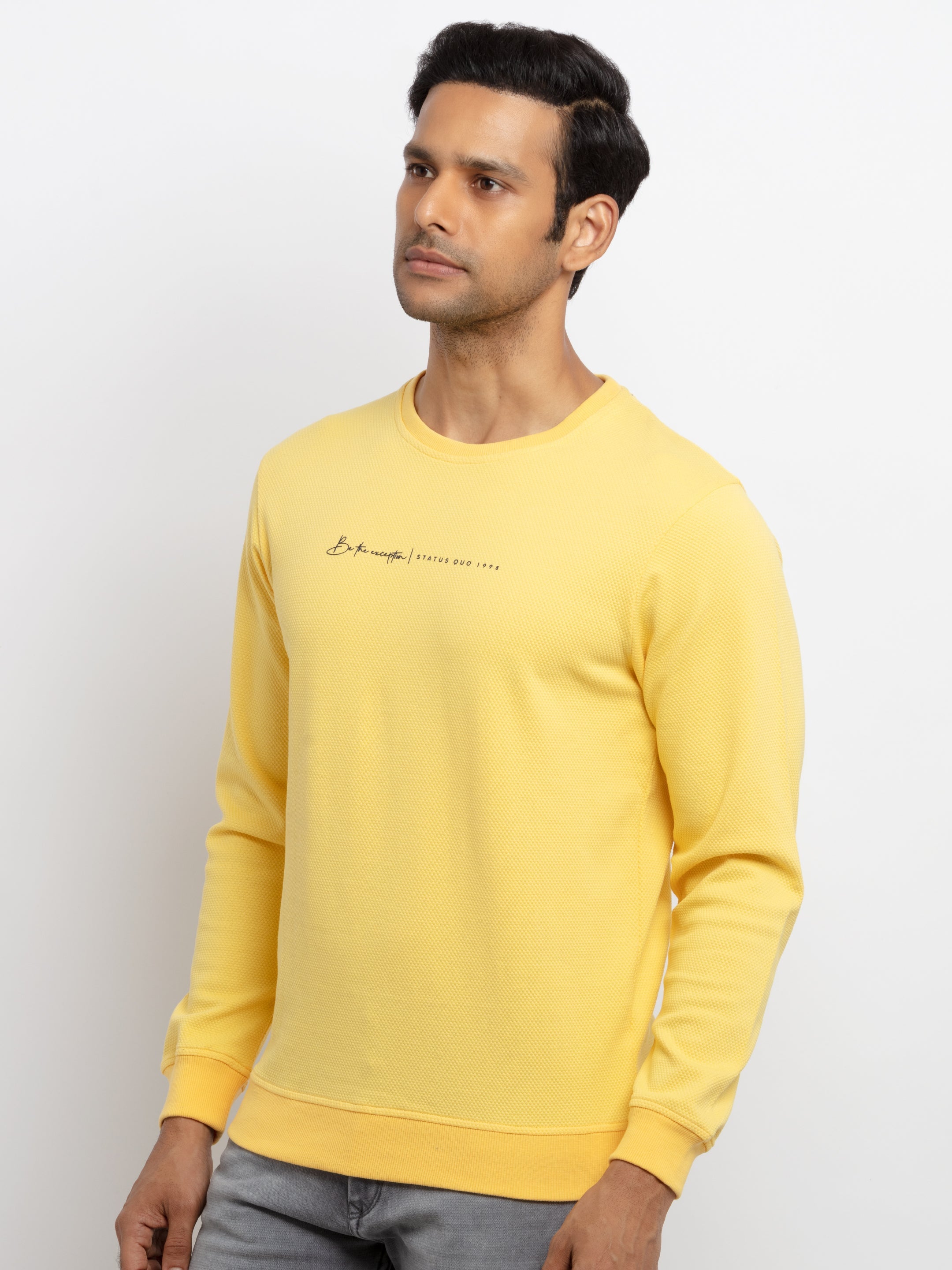 Mens Printed Lightweight Sweatshirt