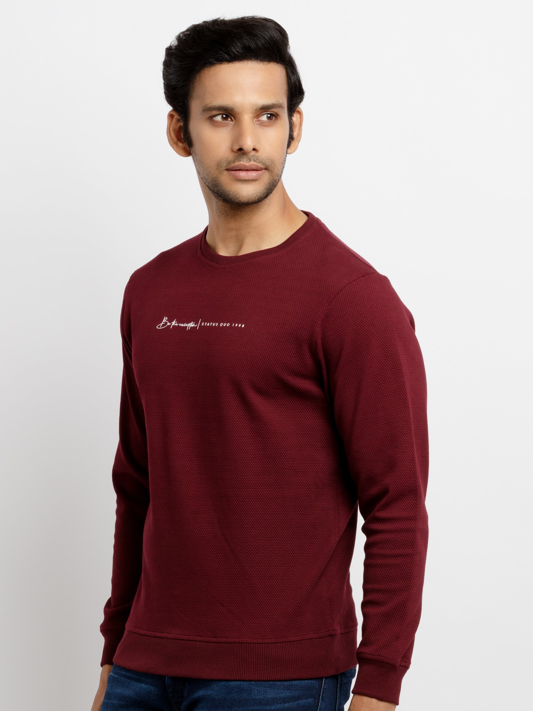 Mens Printed Lightweight Sweatshirt Secondary image