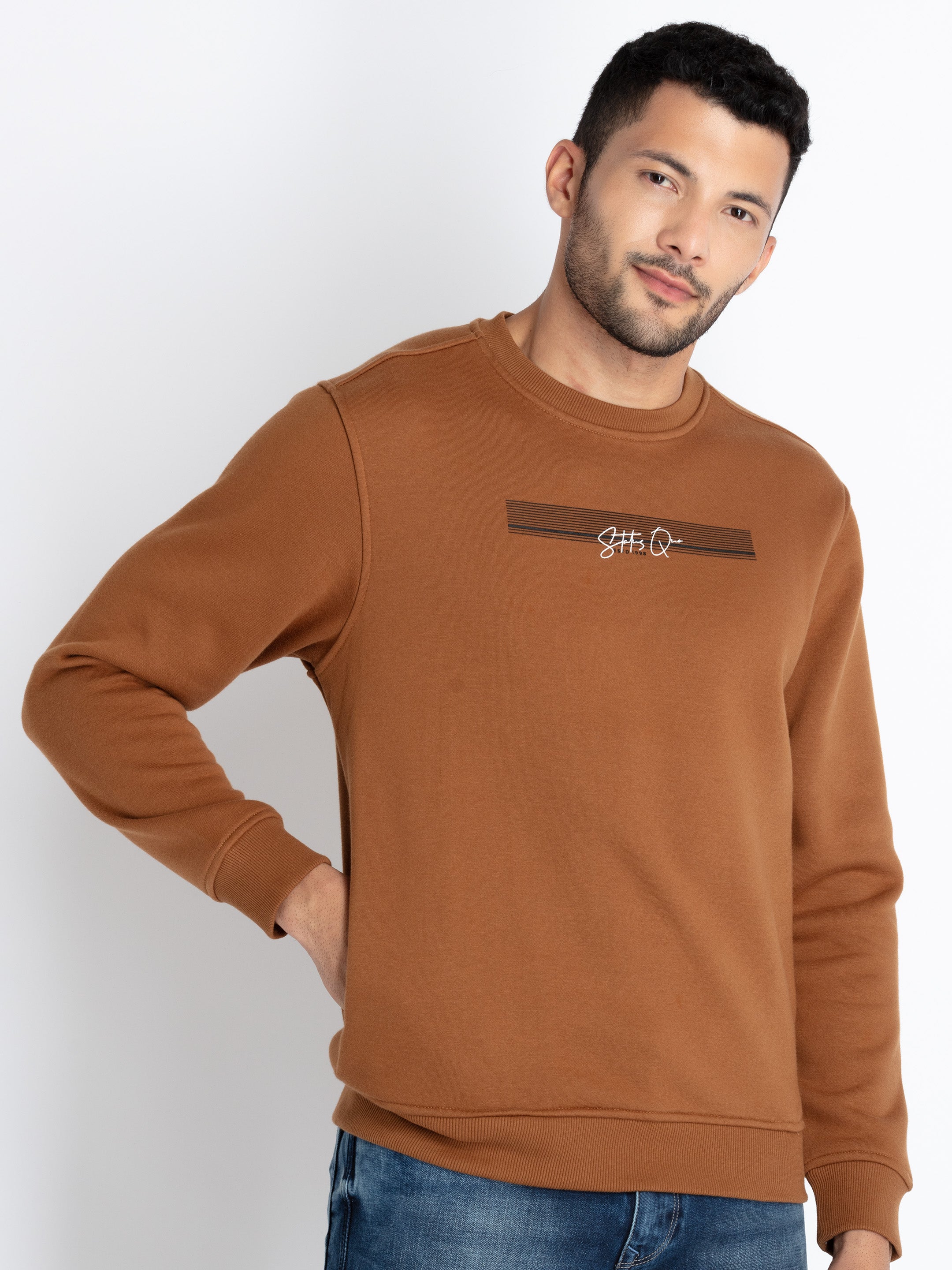 Mens Solid Round Neck Sweatshirt Secondary image