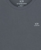 Boys Pack Of 2 Cotton T-shirts