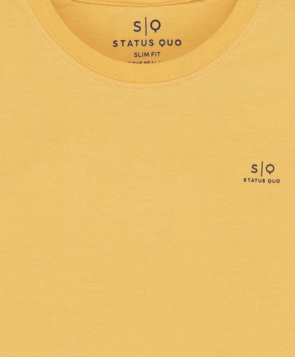 Boys Pack Of 2 Cotton T-shirts