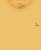 Boys Pack Of 2 Cotton T-shirts