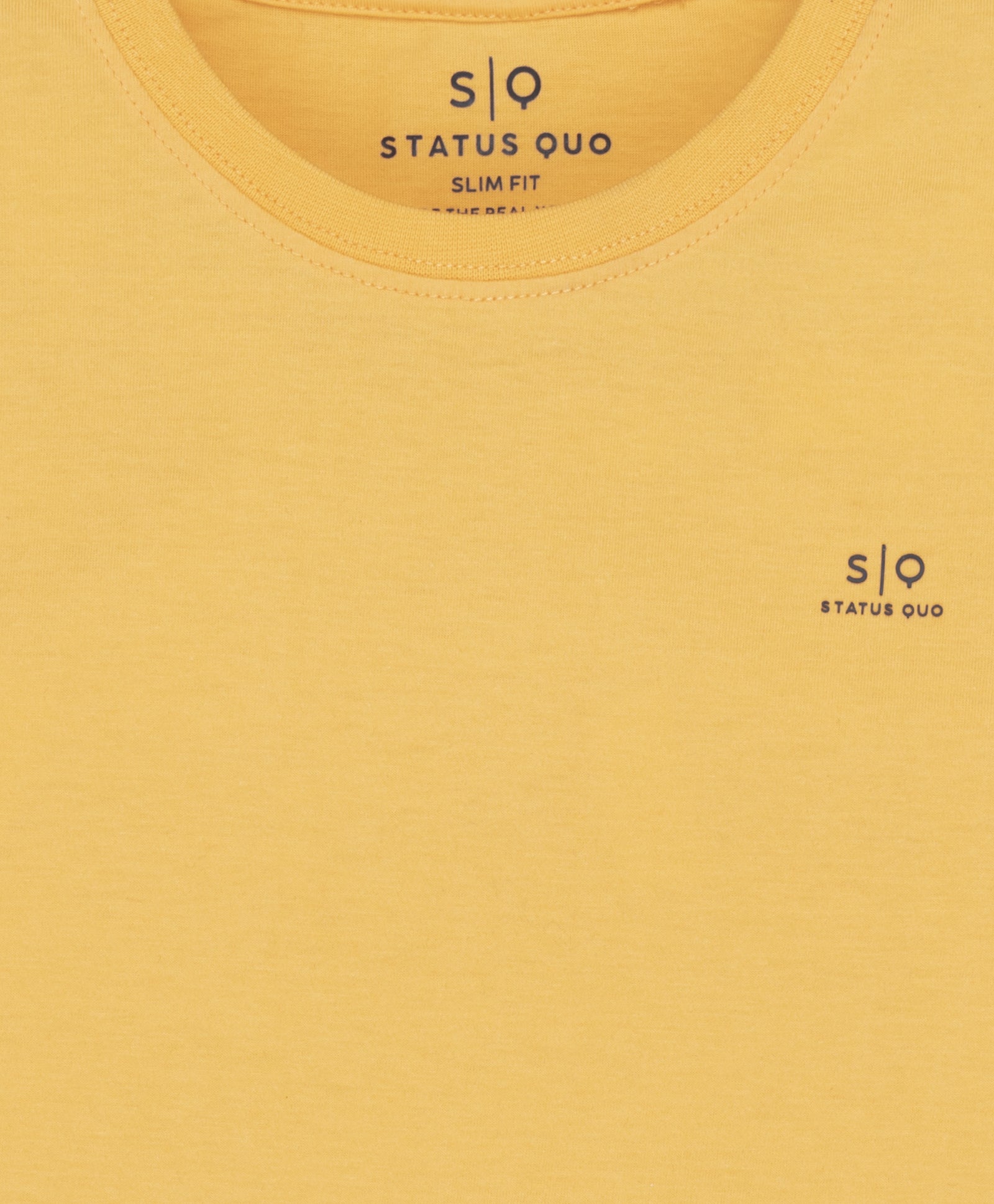 Boys Pack Of 2 Cotton T-shirts