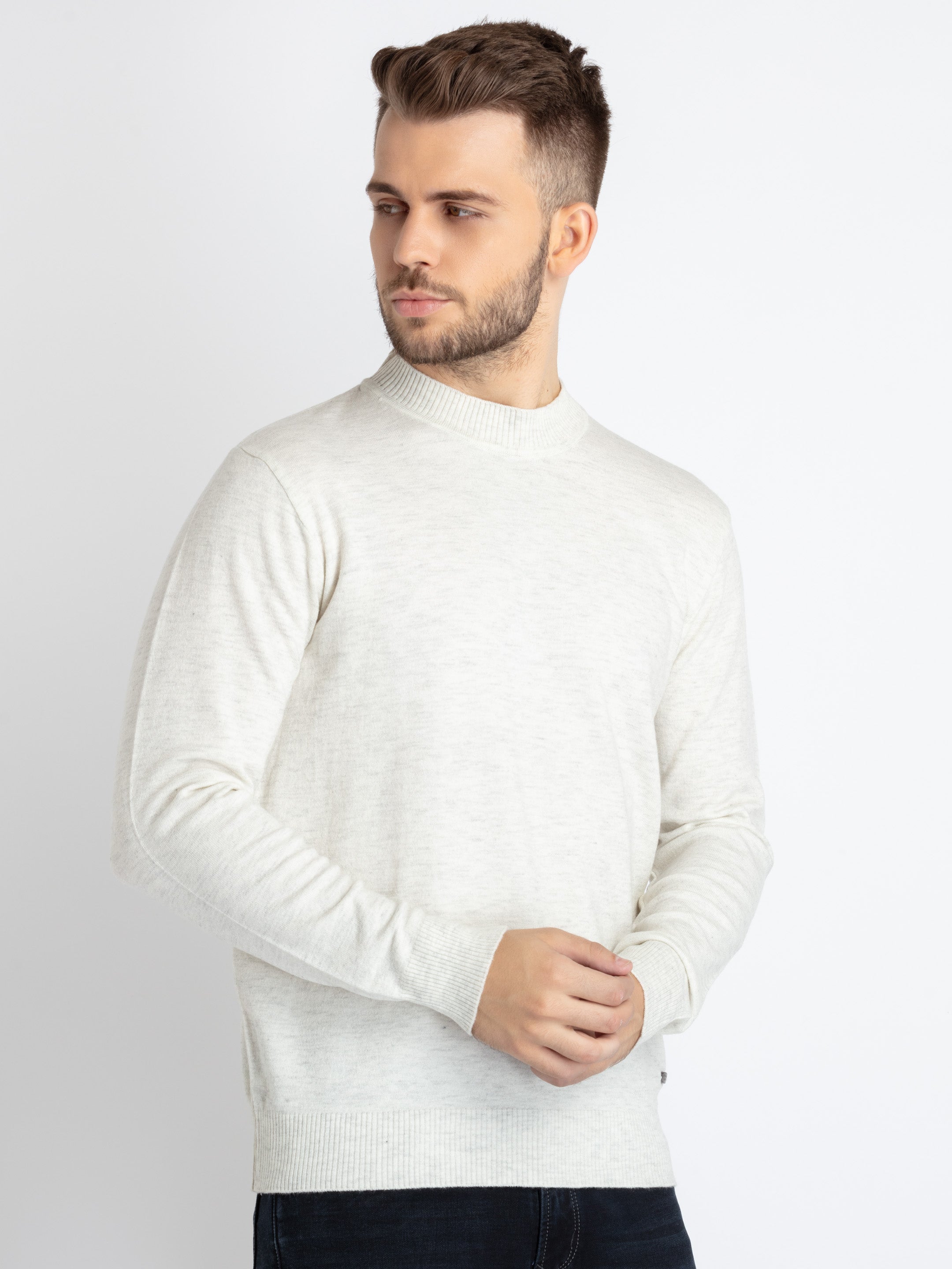 Mens Solid High Neck Sweater Secondary image