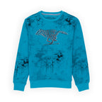 Kids Printed Round Neck Sweatshirt