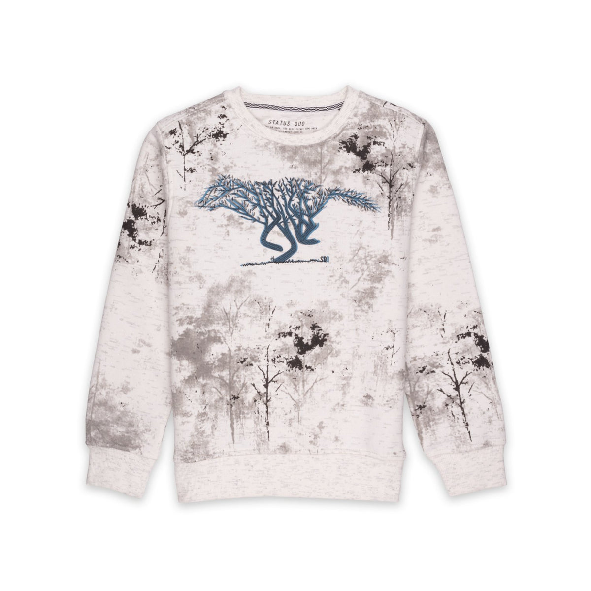 printed sweatshirt for boys