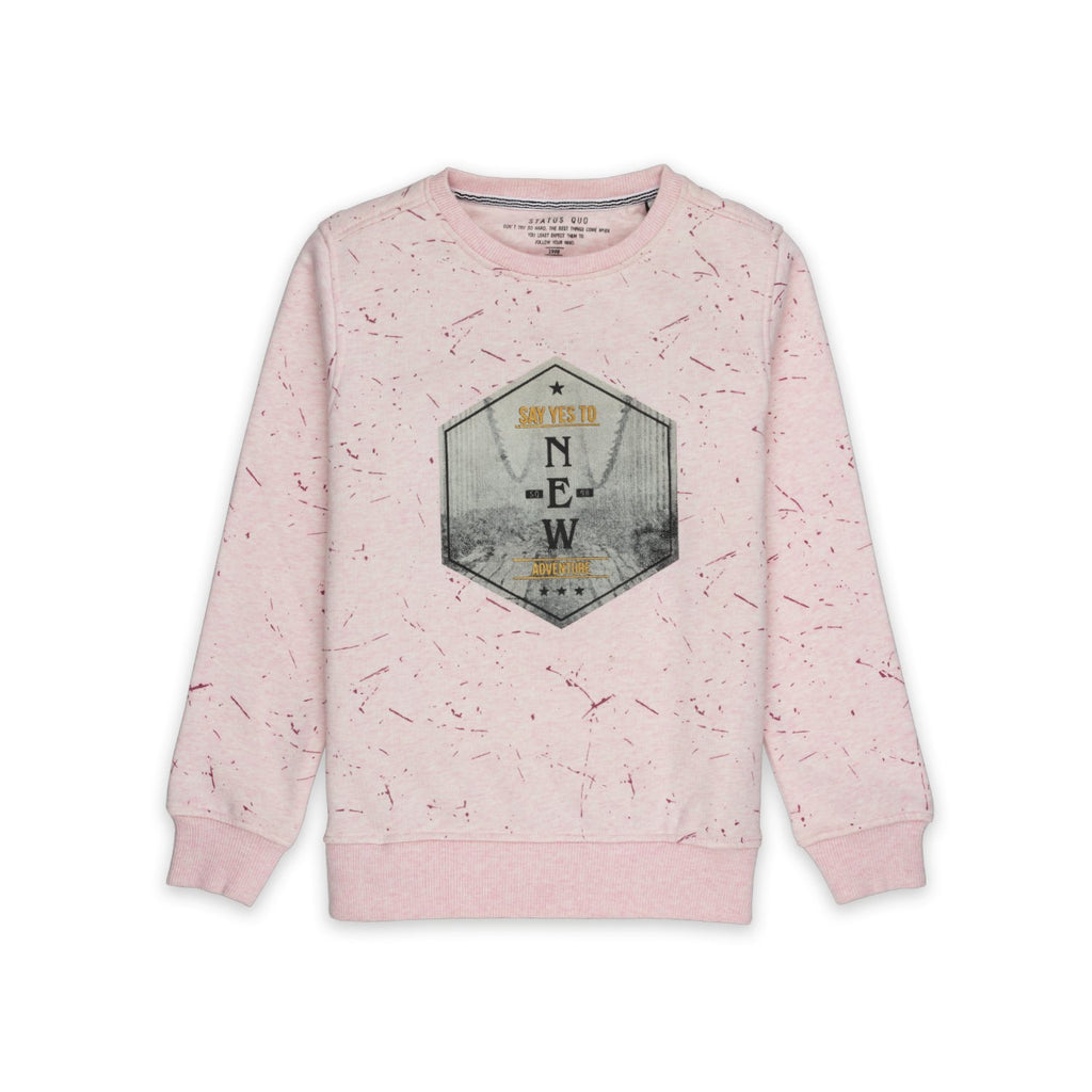 printed sweatshirt for boys