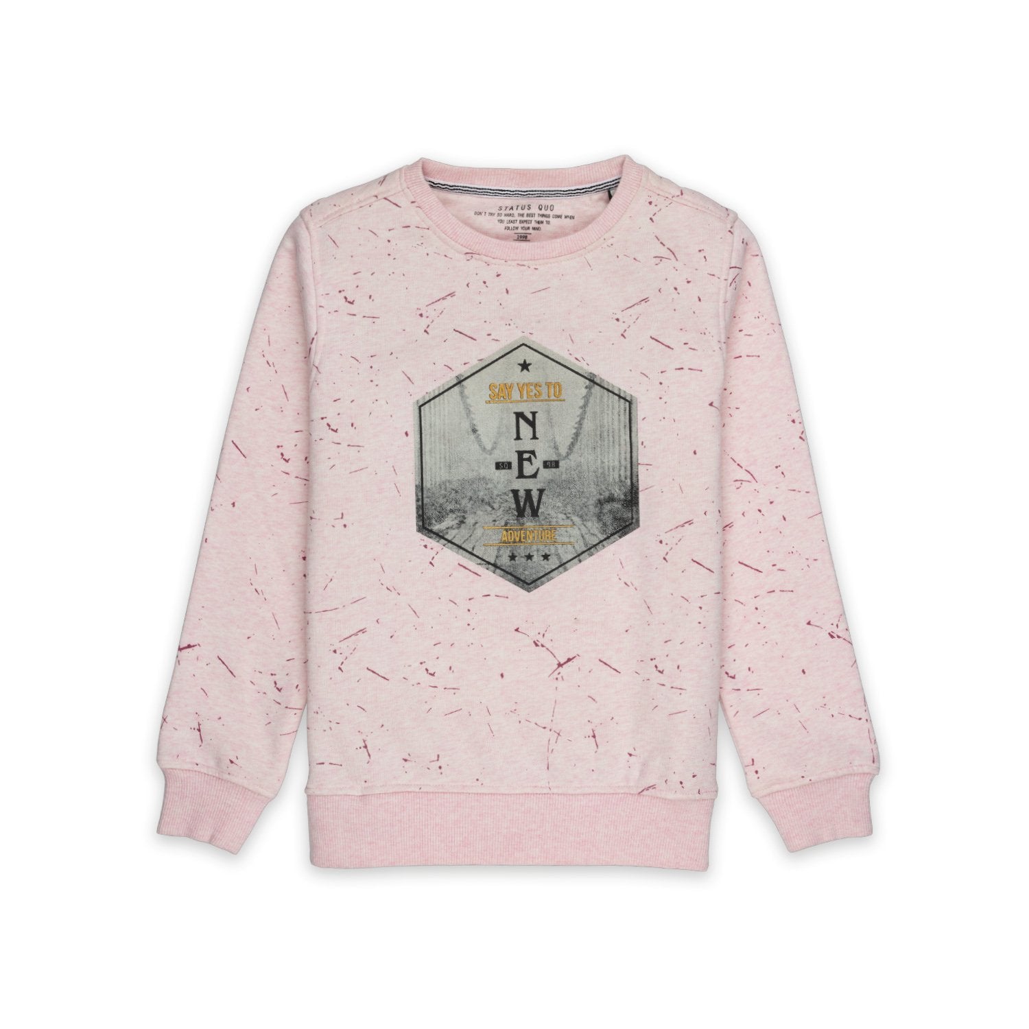 printed sweatshirt for boys