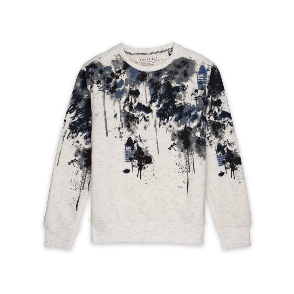 printed sweatshirt for boys