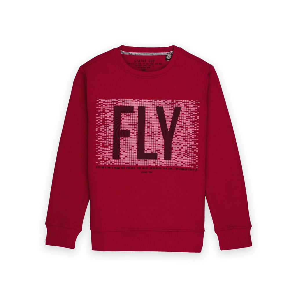 printed sweatshirt for boys